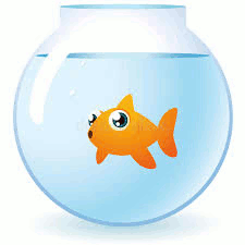 Mindless goldfish in bowl