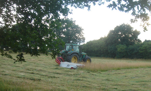 Mowing for hay